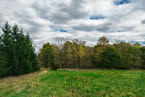 35 Acres Wooded Land, Saline