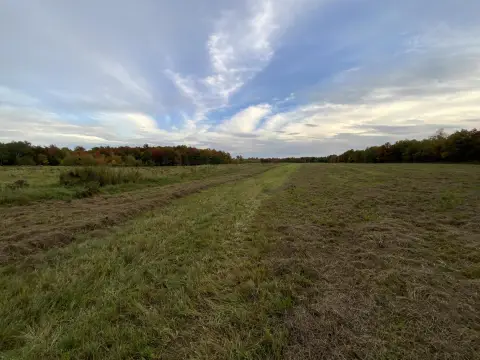 Agricultural Land with Wooded Acreage