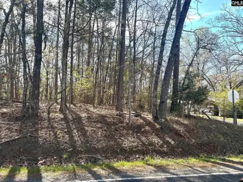 Leesville Land Near Boat Ramp