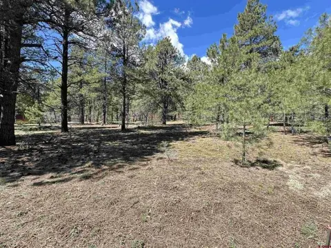 Residential Lot Borders Greenbelt