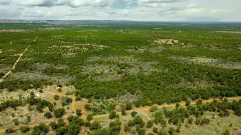 Montrose Off-Grid Living and Hunting