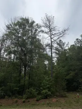 Edgefield Homesite Land Parcel