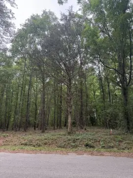 Edgefield Homesite on 2.25 Acres