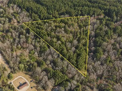 Wooded Commercial Land