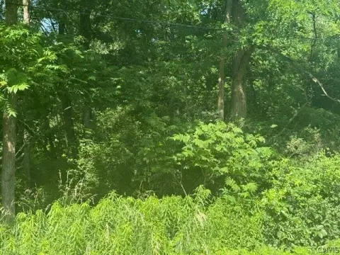 Recreation Hunting Land Parcel