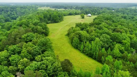 Hanceville Vacant Land with Creek