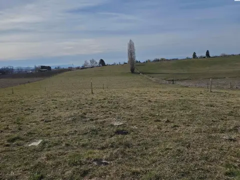 Agricultural Acreage Homesite