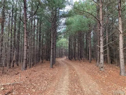 Ozark Hideaway Land For Sale