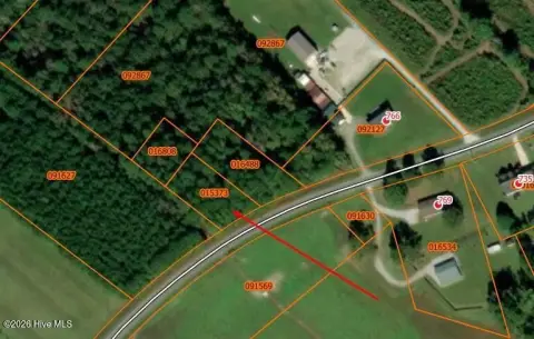 Wooded Recreation Land Lot