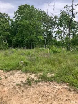 Ridgetop Land with Gravel Road