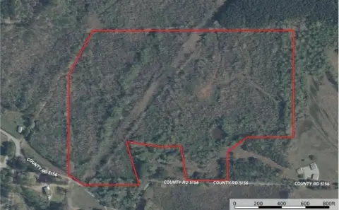 Prentiss County Hunting and Recreation