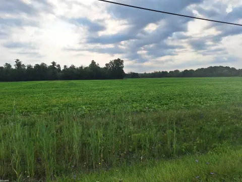 Agricultural Land with Wooded Area