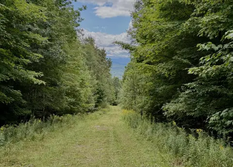 Wooded Hunting Land