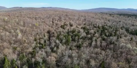 Hunting Land with Internal Trails