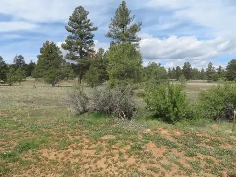 Pagosa Springs Residential Lots