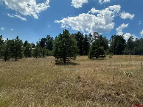 Residential Land in Pagosa Springs