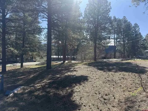 Pagosa Springs Residential Homesite