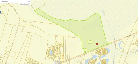 165 Acres in Conway, SC