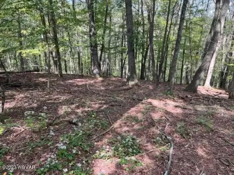 One Acre Lot in Williamsport