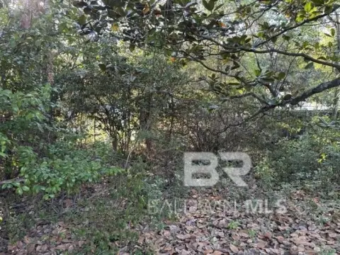 Residential Land in Spring Hill