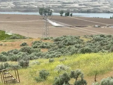 Eltopia Land with River Views