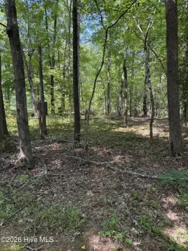 Wooded Recreation Lot in Gated Community