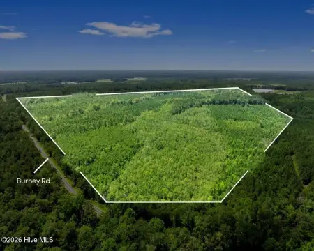 Wooded Hunting Land Tract