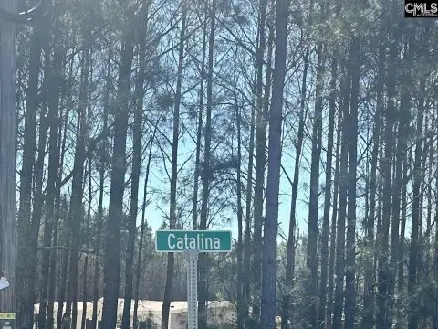 Swansea Acreage Near Columbia