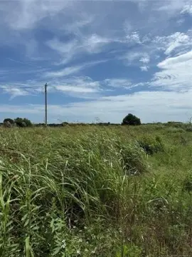 Agricultural Land with Road Frontage