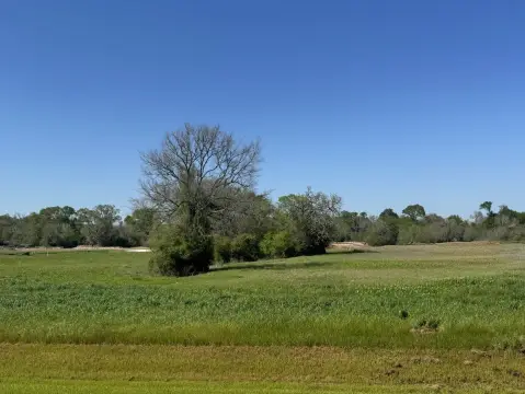 Residential Land in Iola, TX