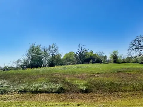 Land in Iola, Texas