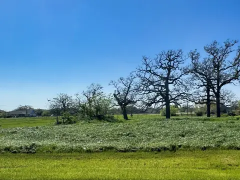 Residential Land in Iola, TX