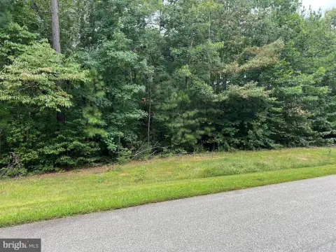Wooded Lot in Noah's Landing