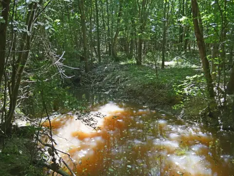 Secluded Hunting Ranch in Clardy, TX