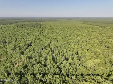 Recreational Hunting Tract with Timber