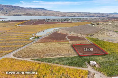 Desert Aire Orchard Opportunity
