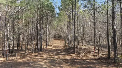 10 Acres in Richland County