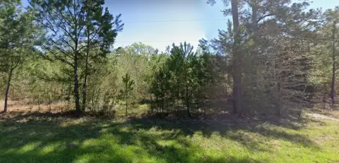 100 Acres in Palestine, TX