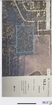 Denham Springs Vacant Subdividable Land