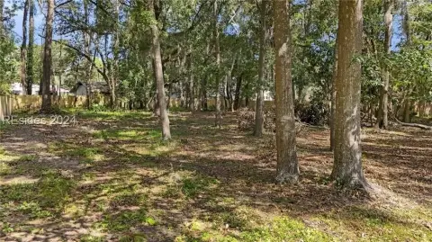 Land in Historic Bluffton