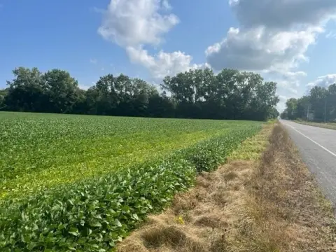 New Buffalo Tillable Land Parcel