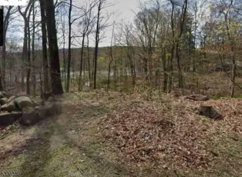 Expansive Lot in Gordon Lakes