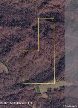 Hunting Land with Mature Hardwood Timber