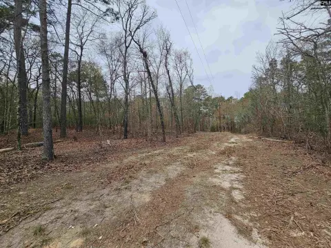 Hopkins Wooded Land with Potential