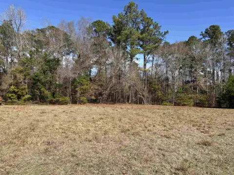 Residential Land in Quincy, Florida