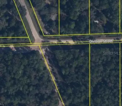 Vacant Land in Hastings, Florida