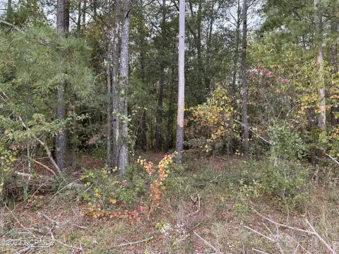 Secluded Land in Lumberton, NC