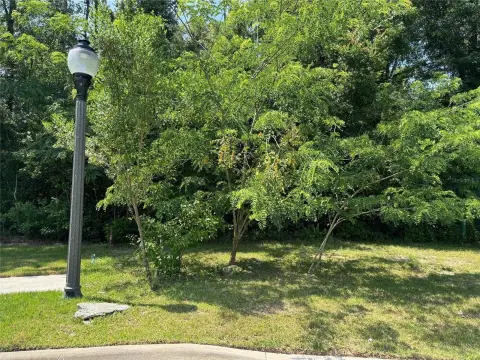 Gainesville Land Ready to Build