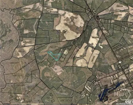 Hunting Land in Guyton, Georgia