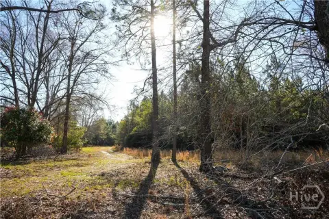 Statesboro, GA Land Opportunity
